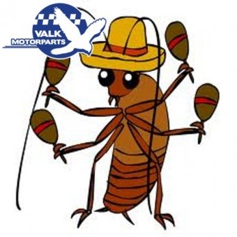 Cucaracha